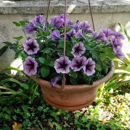 Appartement By The Sea Brodarica, Sibenik - 4194 Brodarica (Sibenik-Knin)