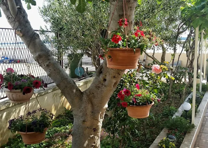 Apartamento By The Sea Brodarica, Sibenik - 4194 Brodarica (Sibenik-Knin)