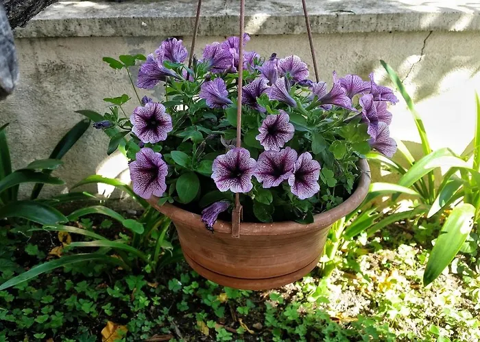 Appartement By The Sea Brodarica, Sibenik - 4194 Brodarica (Sibenik-Knin)